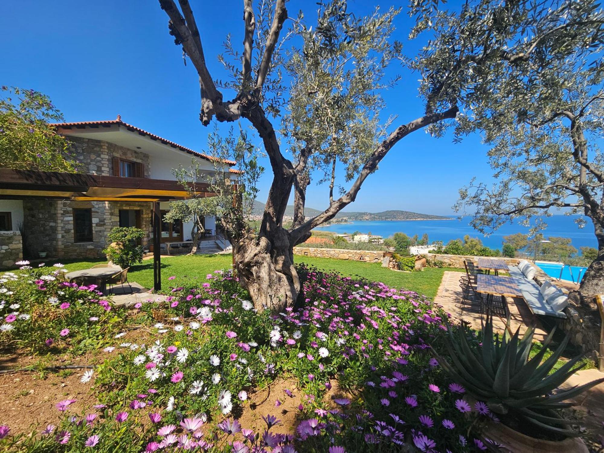 Yialasi Hotel 에피다우로스 외부 사진